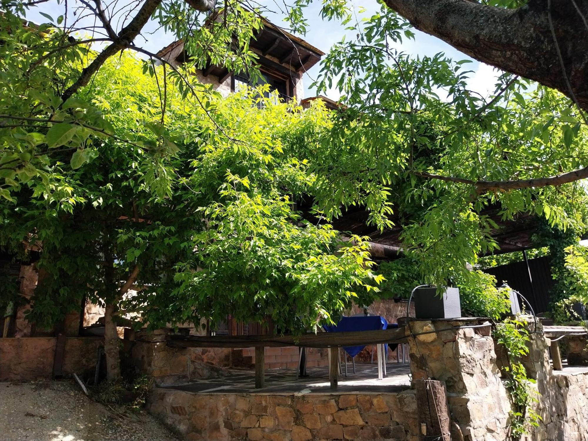 Y El Huerto Del Abuelo * Almiruete