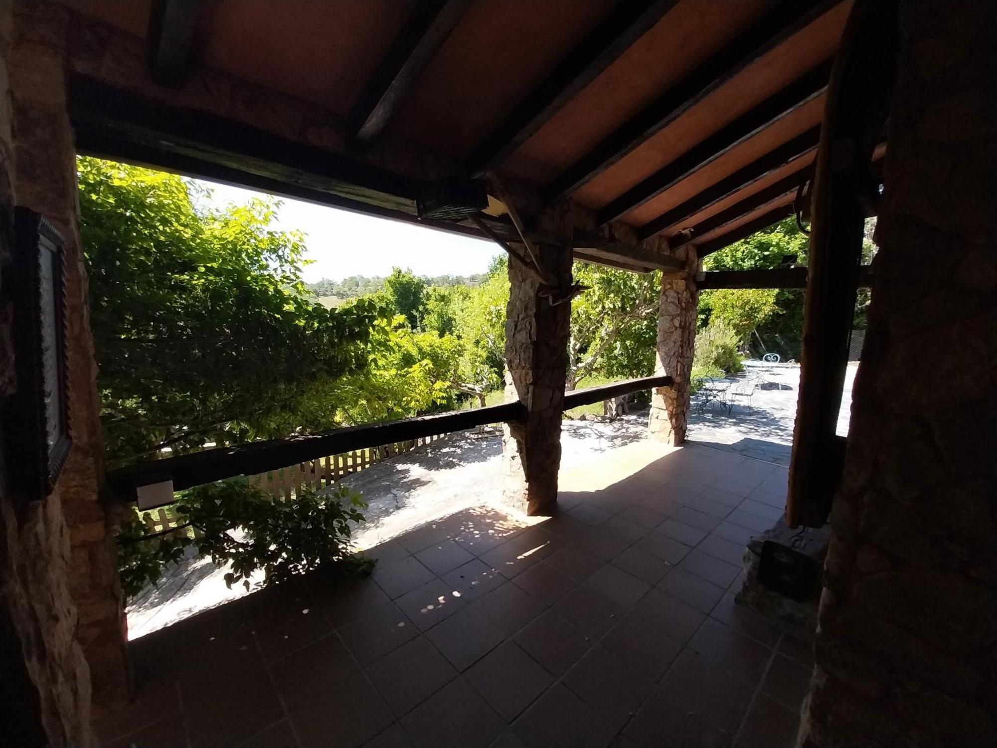 Y El Huerto Del Abuelo