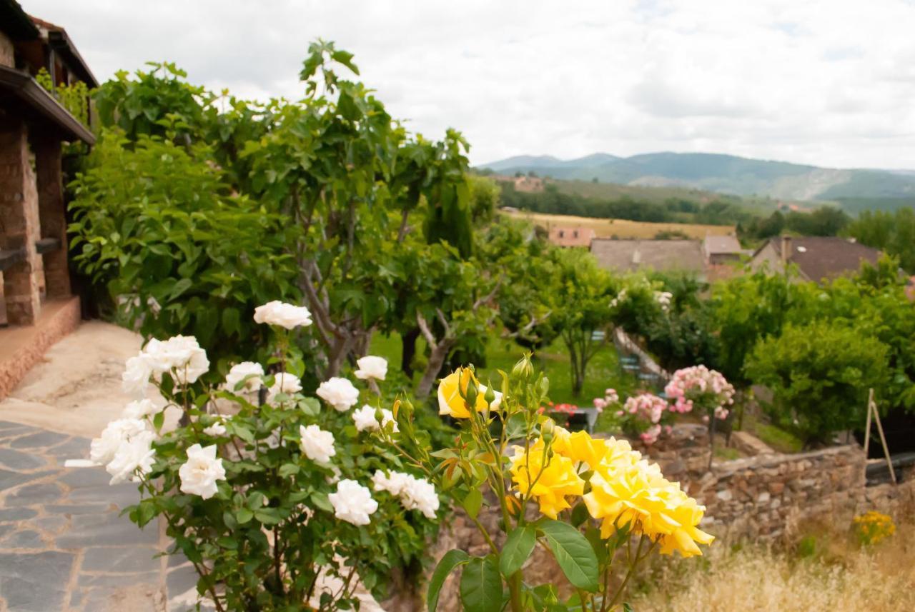 Casa rural Y El Huerto Del Abuelo Almiruete