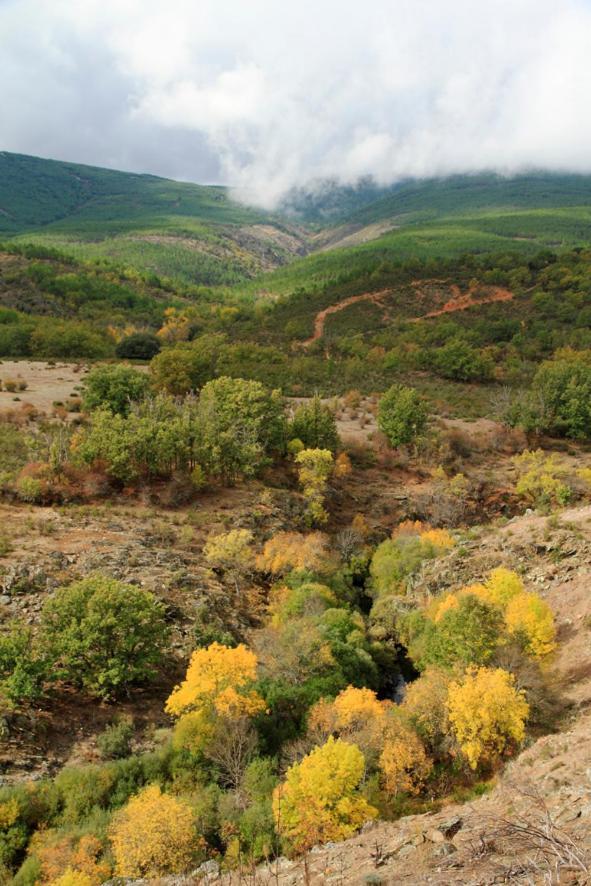 Y El Huerto Del Abuelo Almiruete